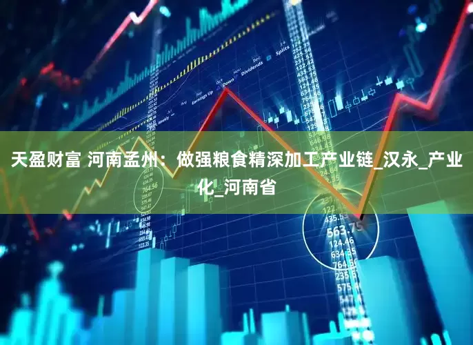 天盈财富 河南孟州：做强粮食精深加工产业链_汉永_产业化_河南省