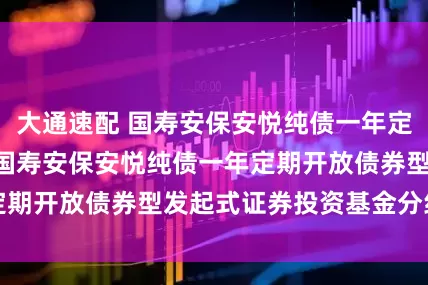 大通速配 国寿安保安悦纯债一年定开债券发起式: 国寿安保安悦纯债一年定期开放债券型发起式证券投资基金分红公告