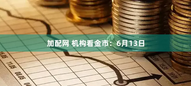 加配网 机构看金市：6月13日