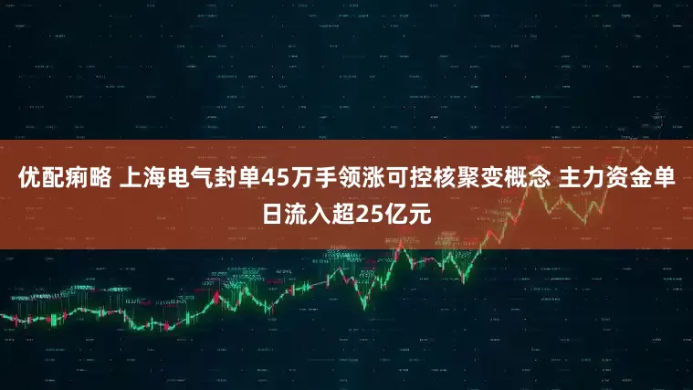 优配痢略 上海电气封单45万手领涨可控核聚变概念 主力资金单日流入超25亿元